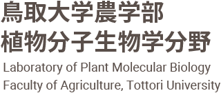 Laboratory of Plant Molecular Biology